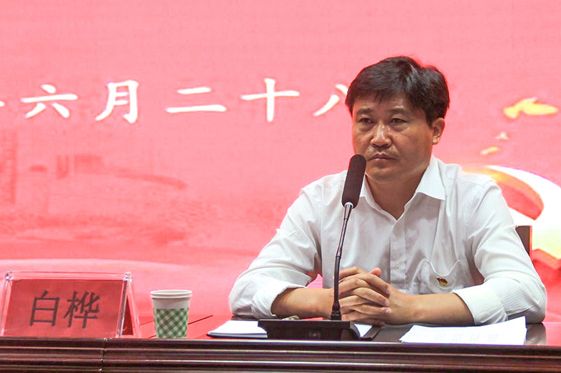 南阳示范区白桦