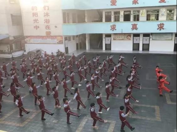 镇平县涅阳四小