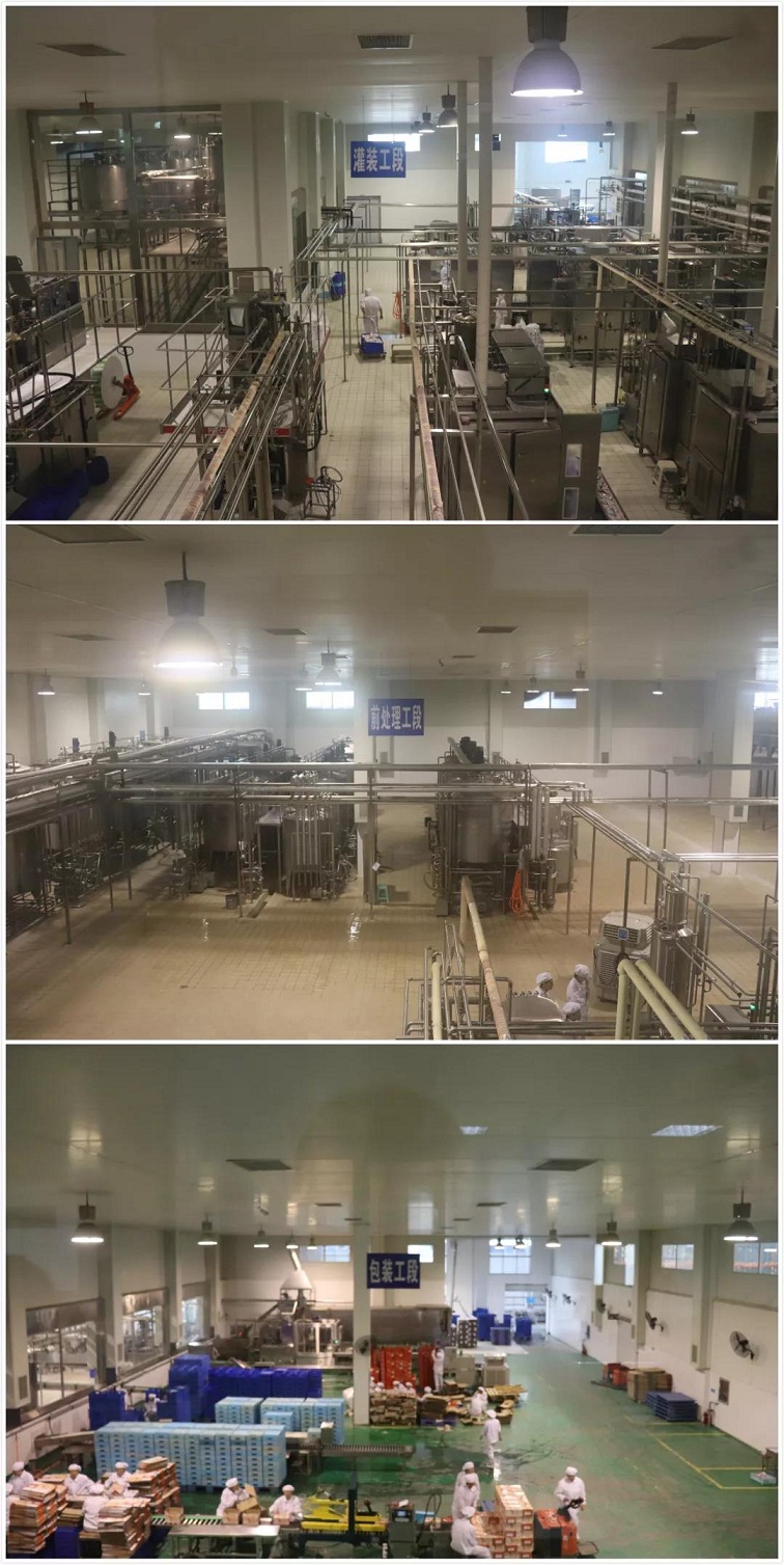 参观南阳三色鸽工厂